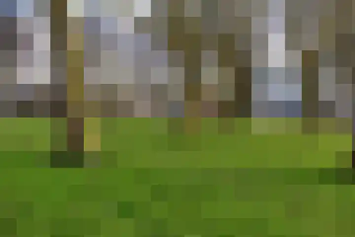 Bumalaan 138 Emmeloord thumbnail 26