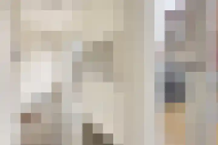 Bumalaan 138 Emmeloord thumbnail 5
