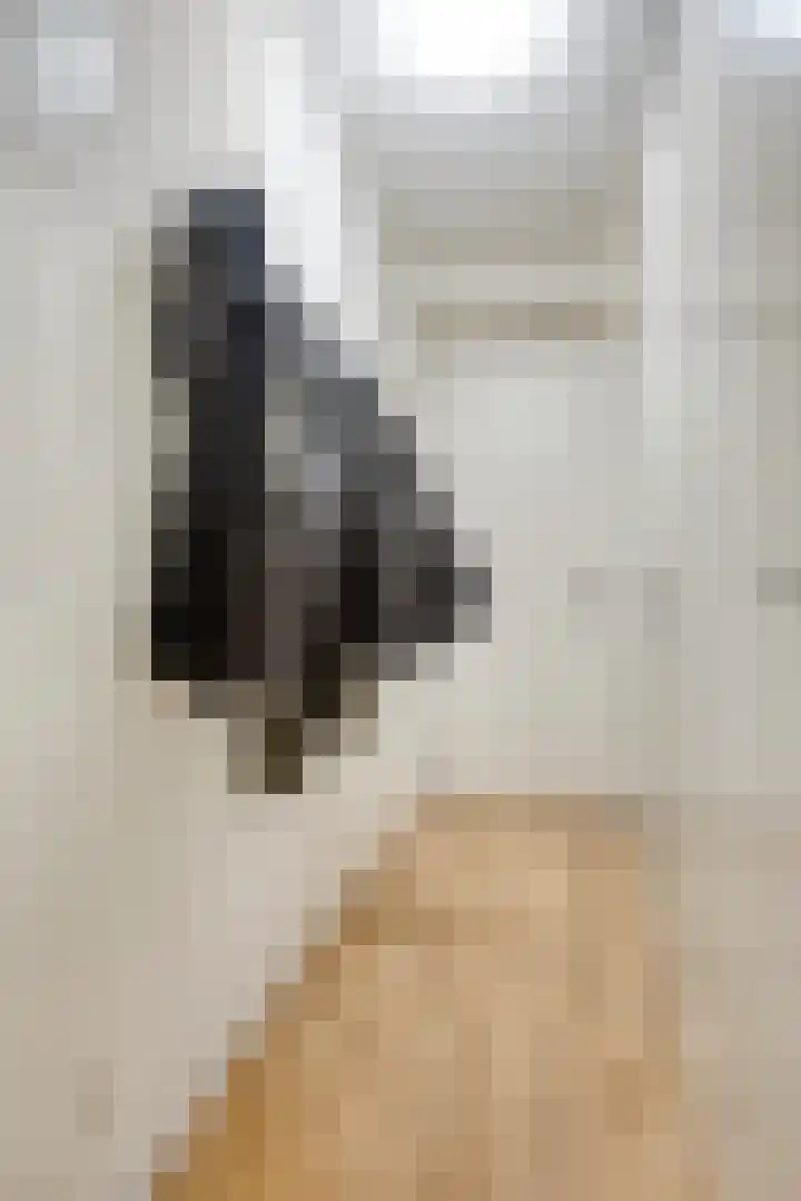 Bumalaan 138 Emmeloord thumbnail 8
