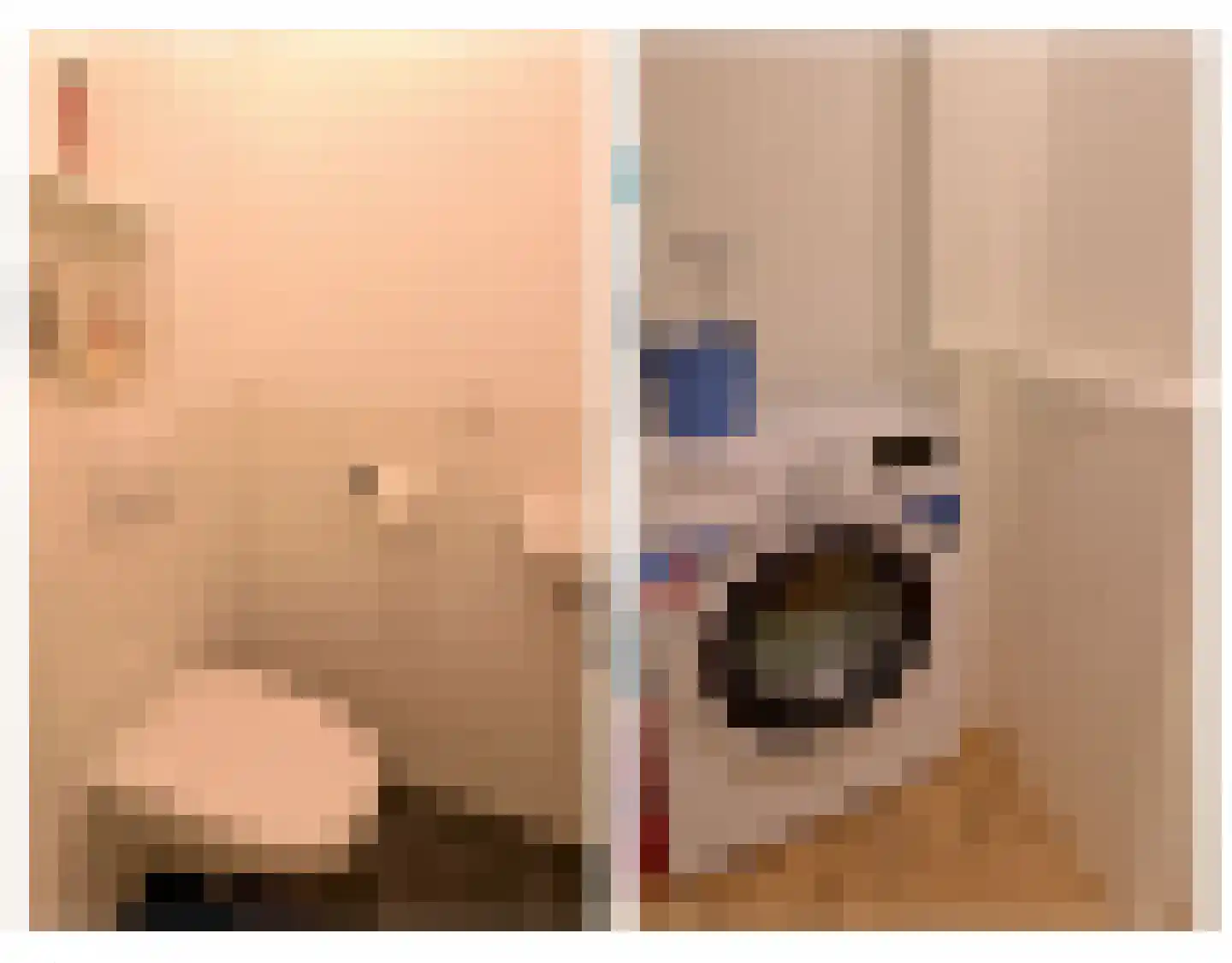 Bumalaan 140 Emmeloord thumbnail 18