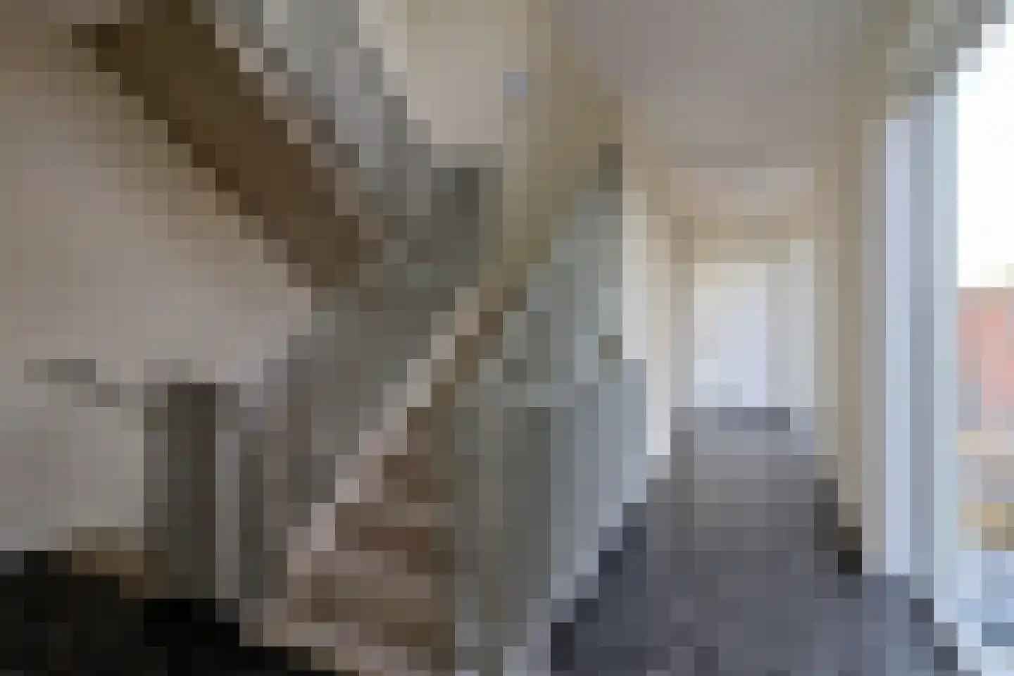Bumalaan 140 Emmeloord thumbnail 22