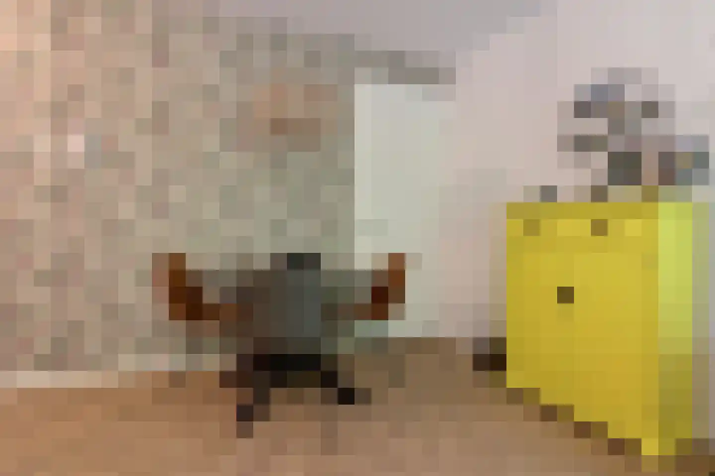 Bumalaan 140 Emmeloord thumbnail 4