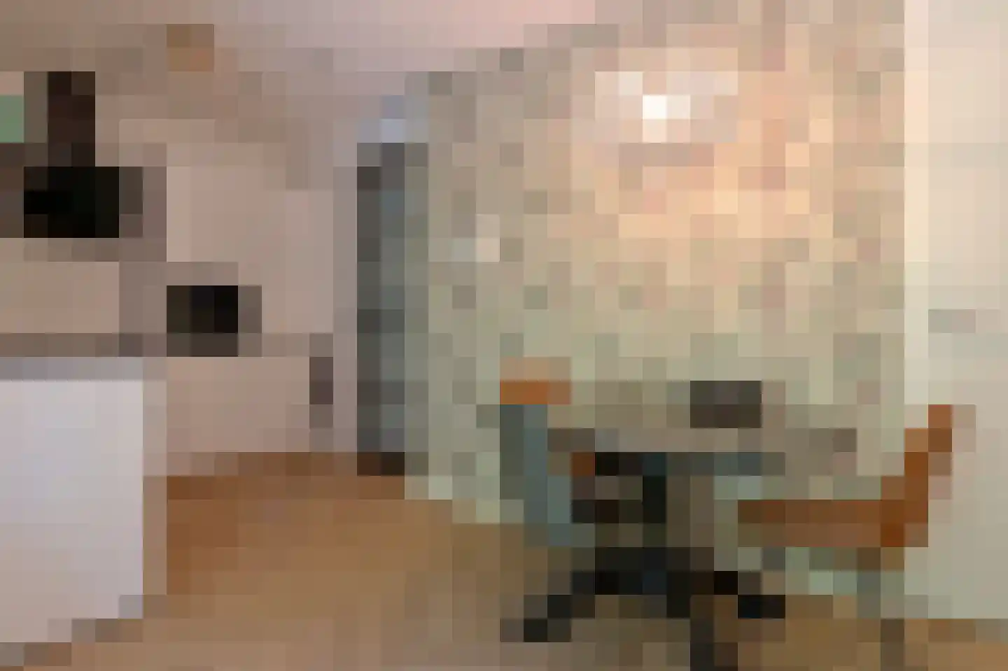 Bumalaan 140 Emmeloord thumbnail 5