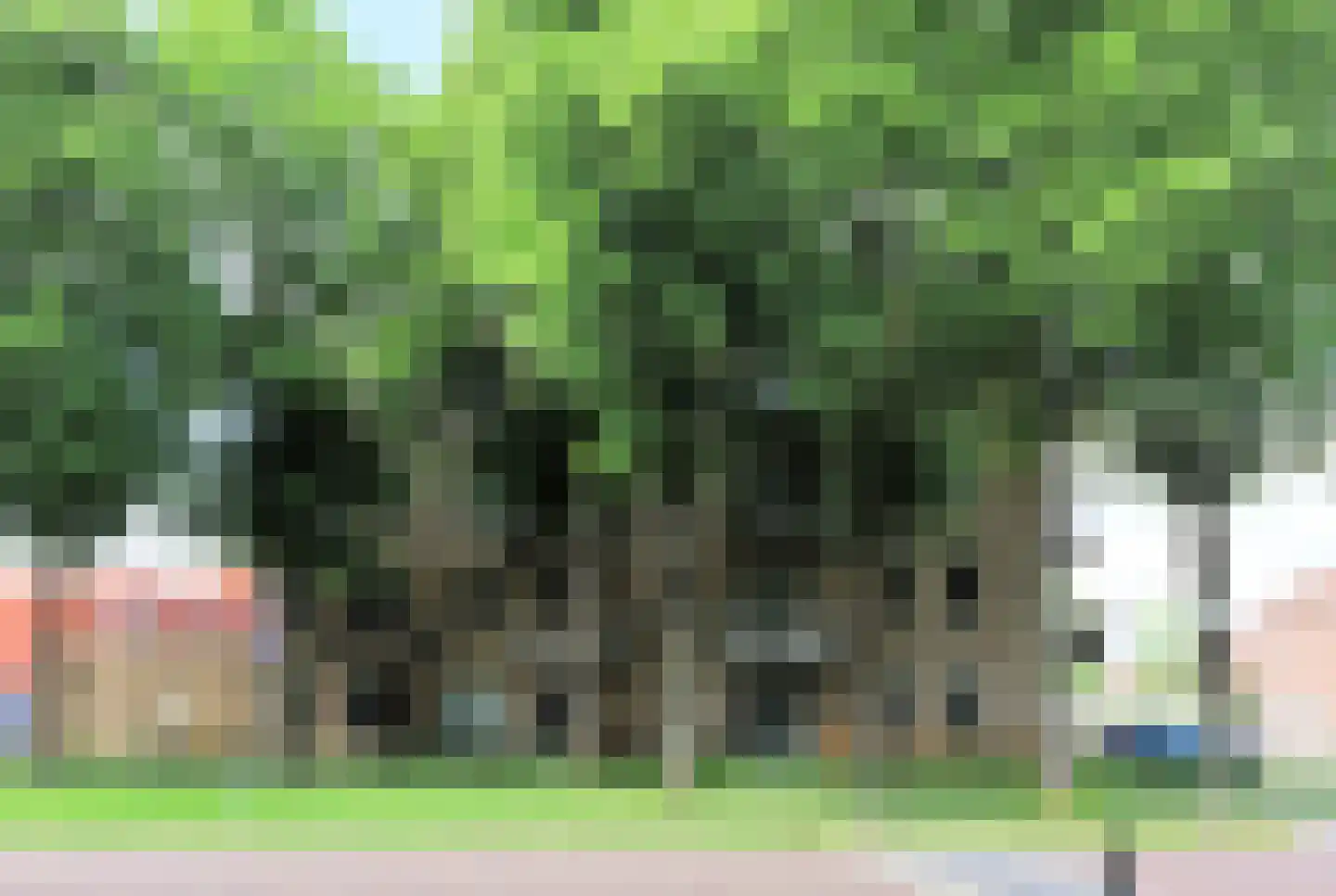 Bumalaan 140 Emmeloord thumbnail 7