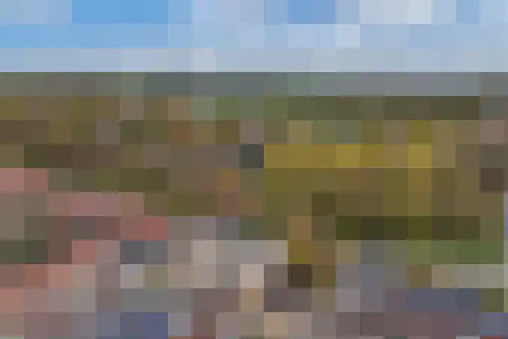 Bumalaan 142 Emmeloord thumbnail 10