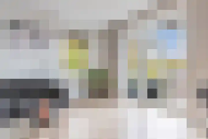 Bumalaan 142 Emmeloord thumbnail 17