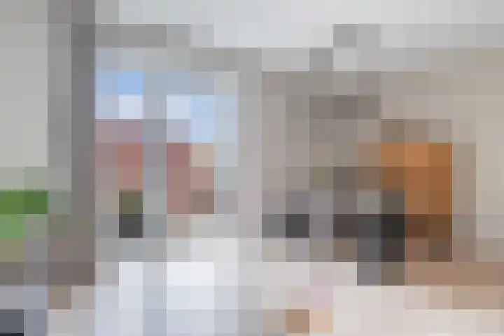 Bumalaan 142 Emmeloord thumbnail 21