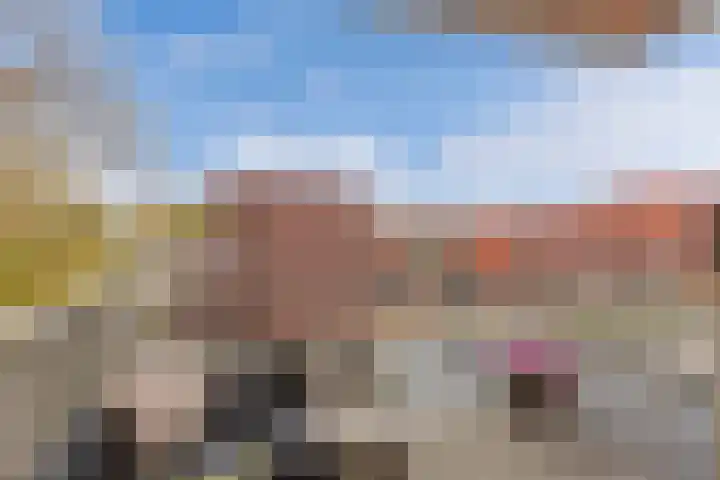 Bumalaan 142 Emmeloord thumbnail 22