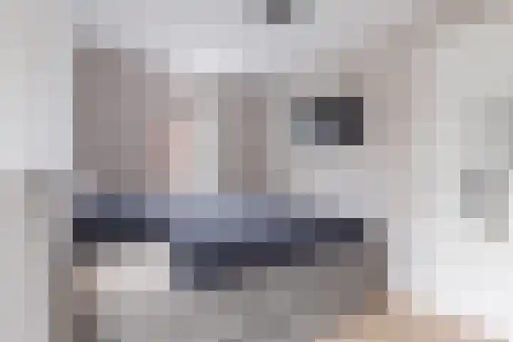 Bumalaan 142 Emmeloord thumbnail 30