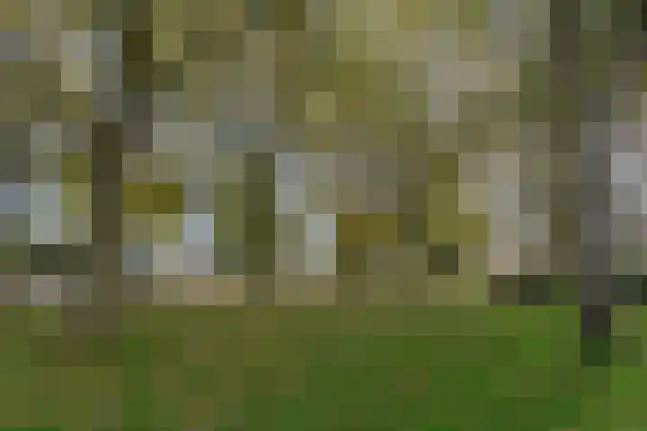 Bumalaan 142 Emmeloord thumbnail 5