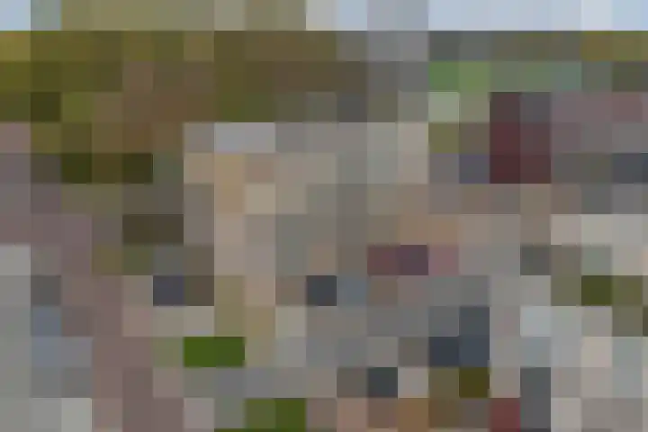 Bumalaan 142 Emmeloord thumbnail 6