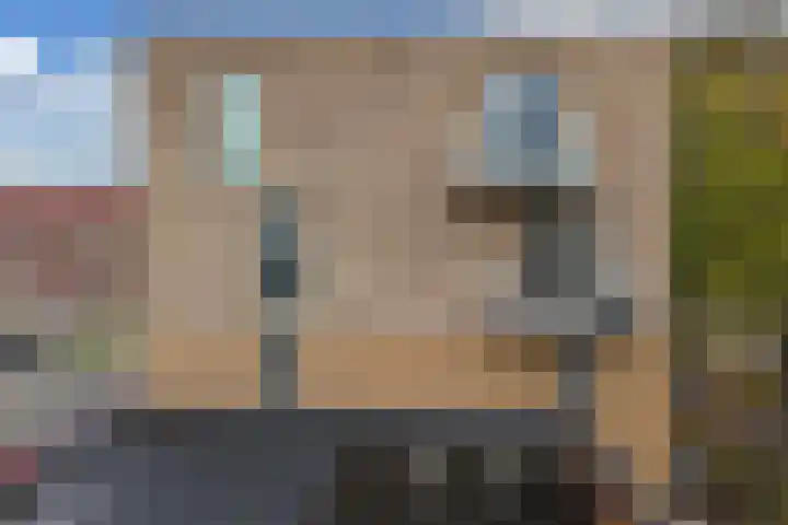 Bumalaan 142 Emmeloord thumbnail 8