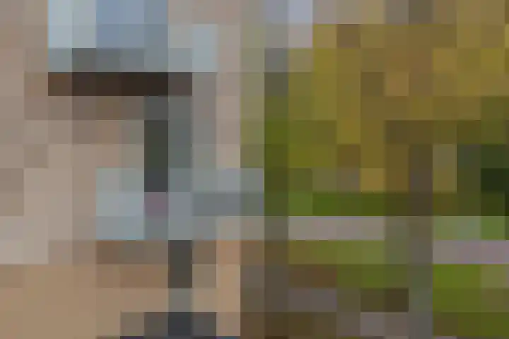 Bumalaan 142 Emmeloord thumbnail 9