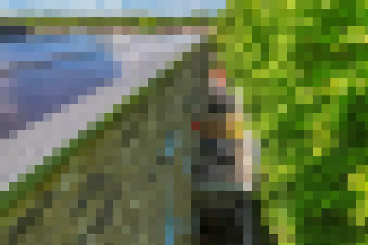 Bumalaan 148 Emmeloord thumbnail 11