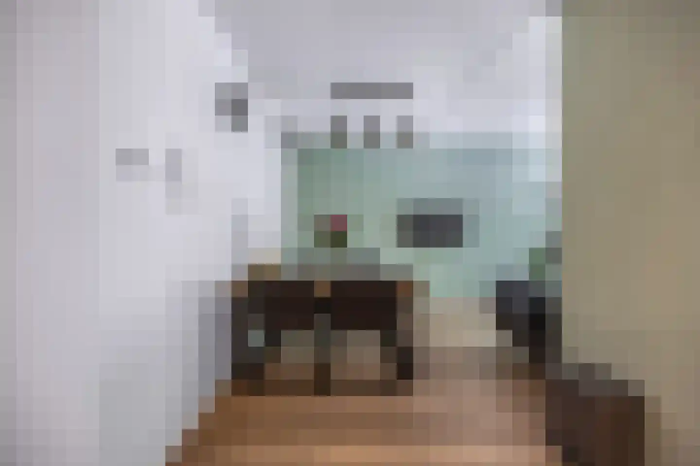 Bumalaan 148 Emmeloord thumbnail 20