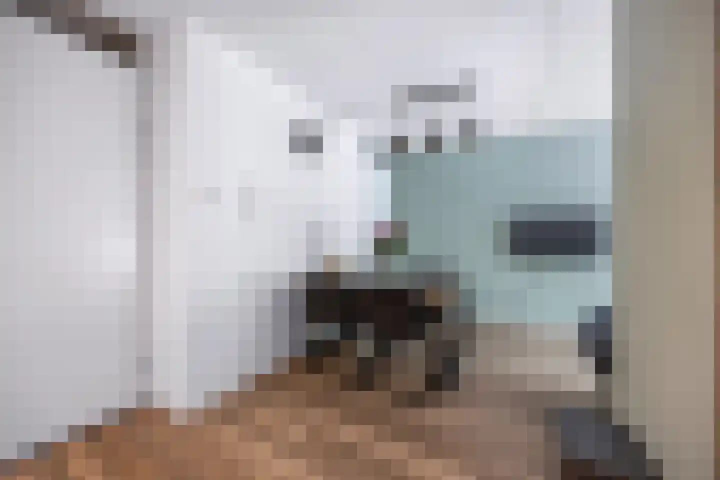 Bumalaan 148 Emmeloord thumbnail 21
