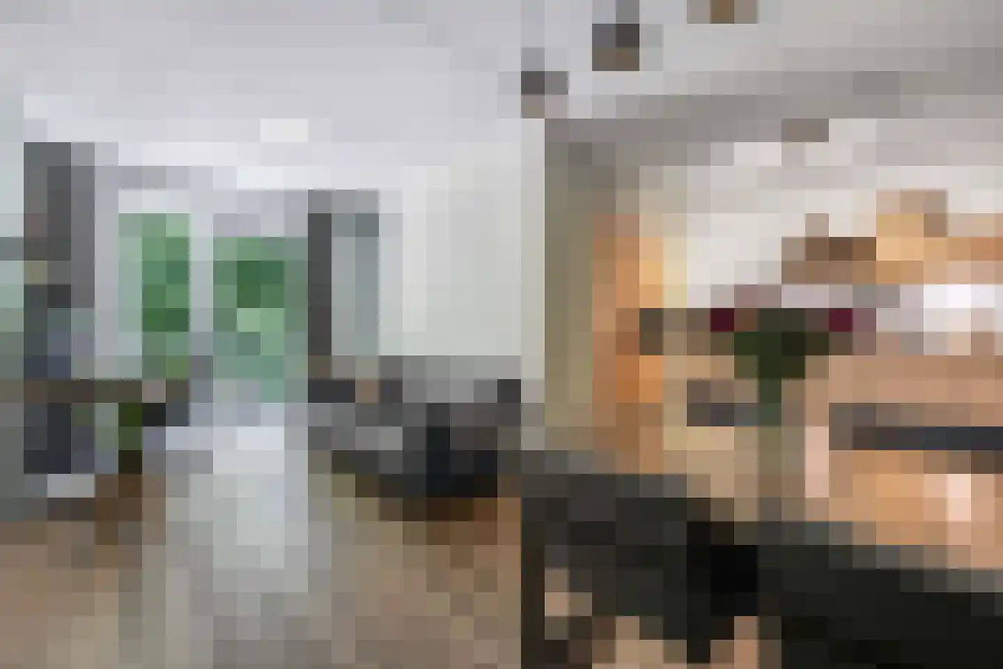 Bumalaan 148 Emmeloord thumbnail 22