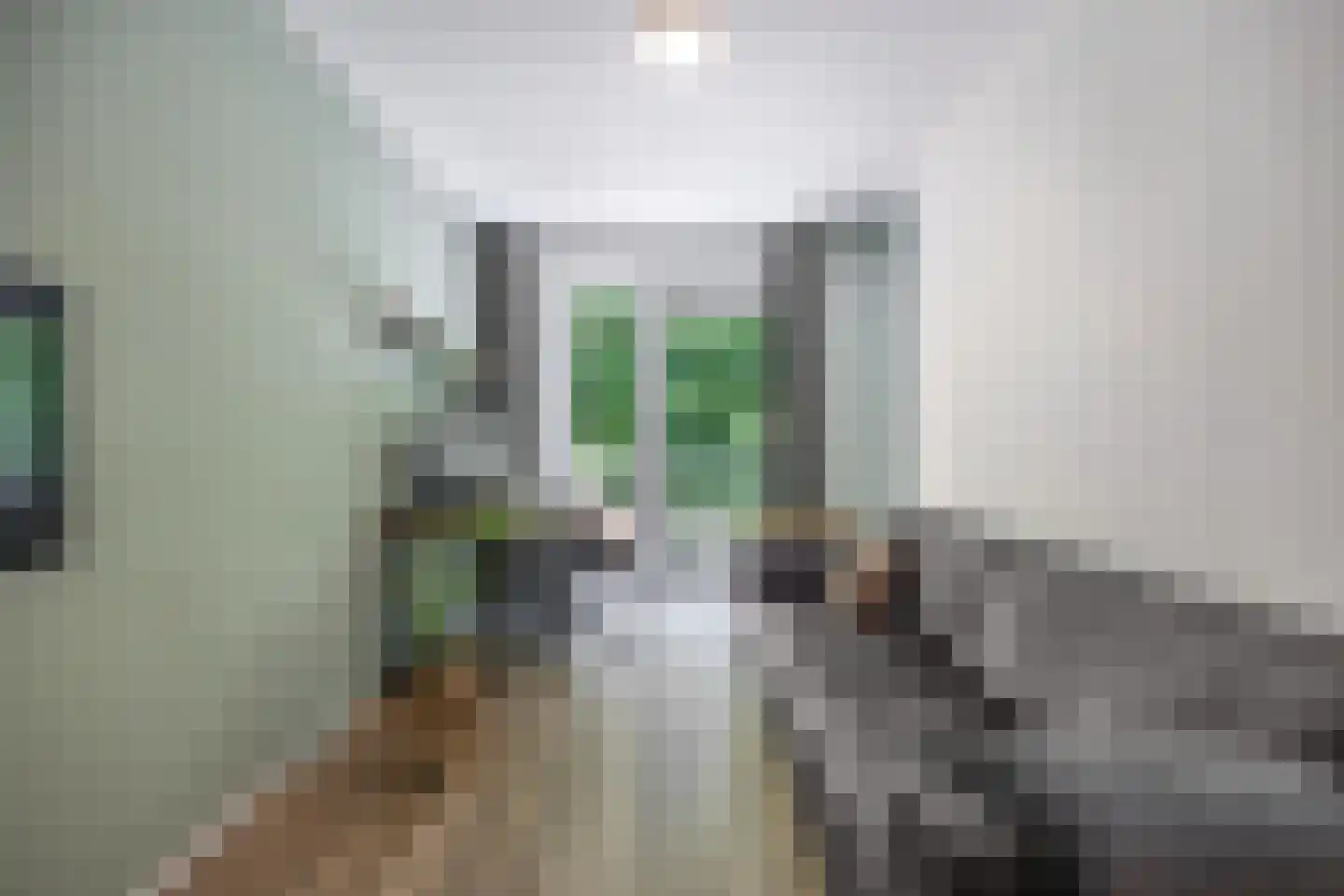 Bumalaan 148 Emmeloord thumbnail 25