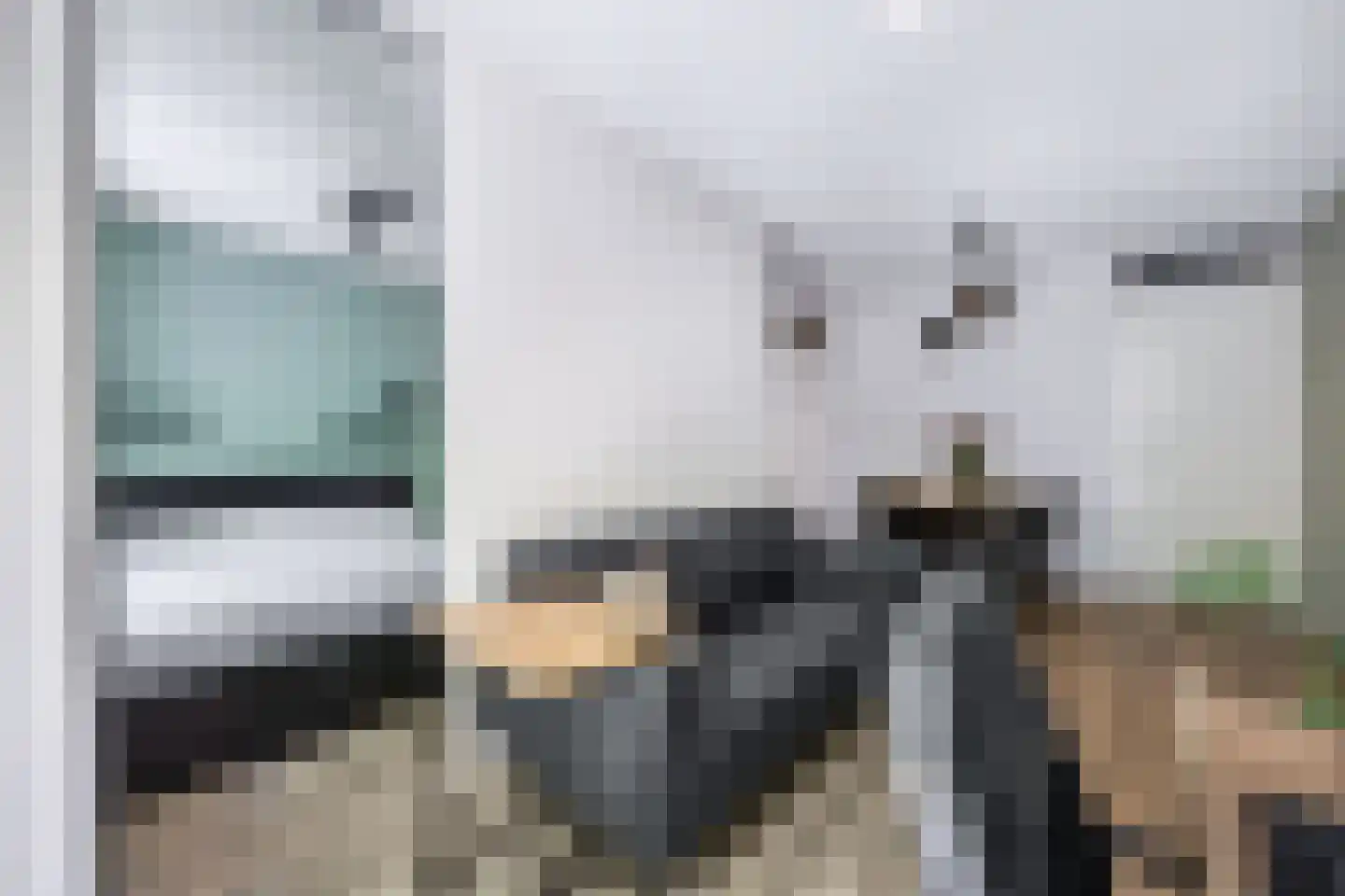 Bumalaan 148 Emmeloord thumbnail 27