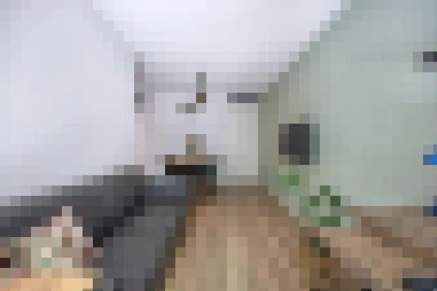 Bumalaan 148 Emmeloord thumbnail 28
