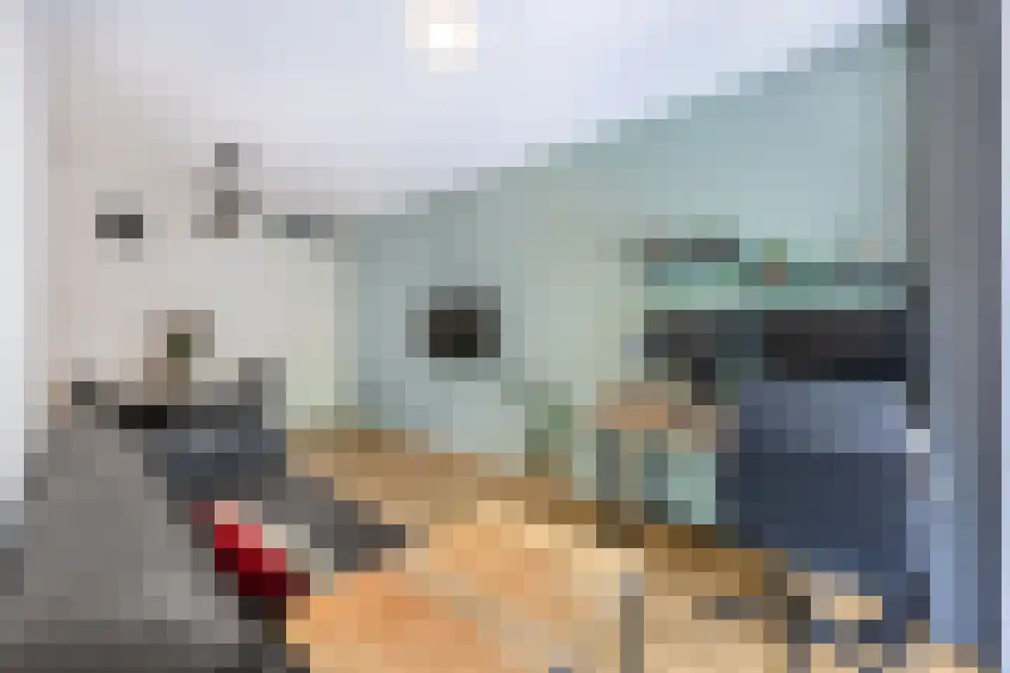 Bumalaan 148 Emmeloord thumbnail 29