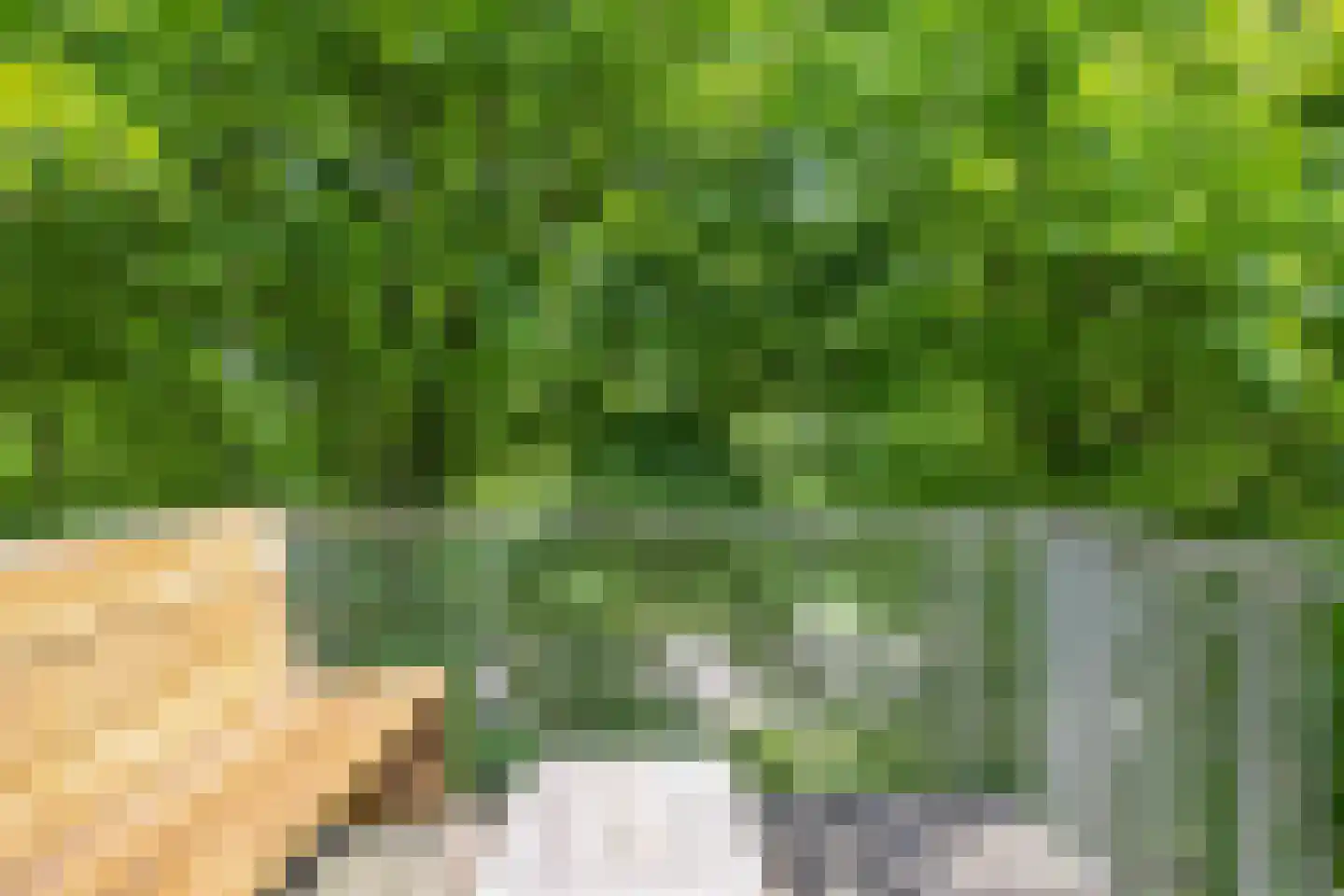 Bumalaan 148 Emmeloord thumbnail 31
