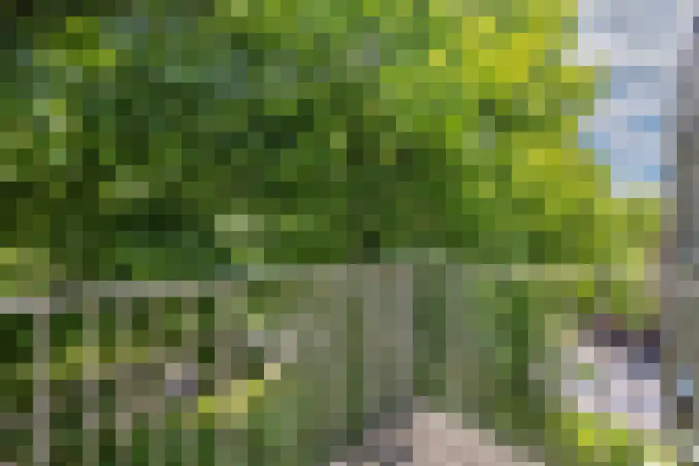 Bumalaan 148 Emmeloord thumbnail 32