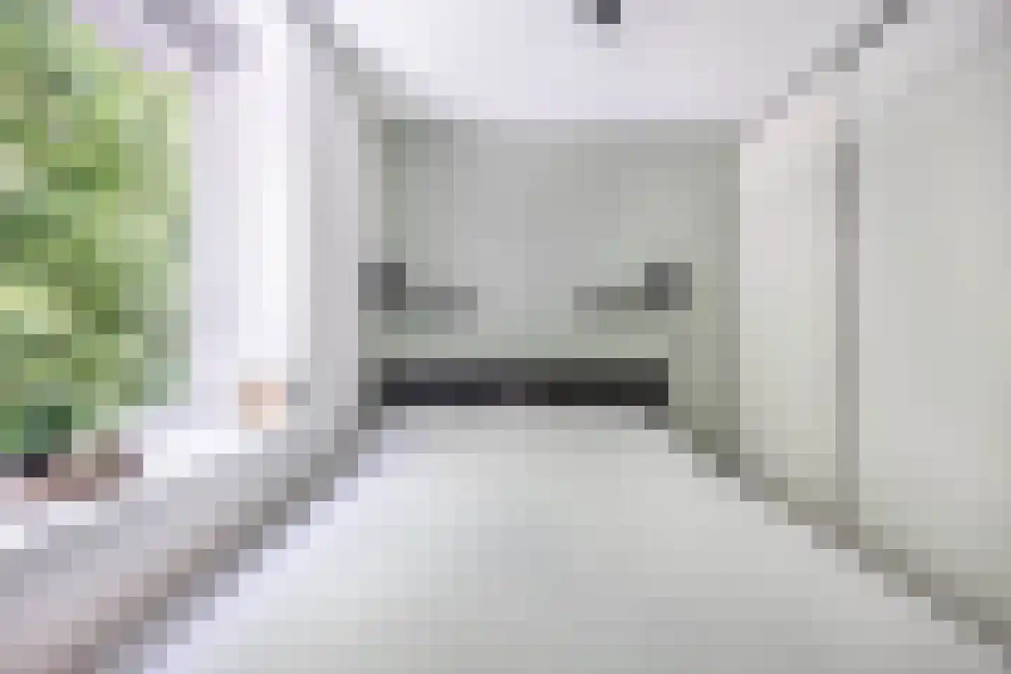 Bumalaan 148 Emmeloord thumbnail 33