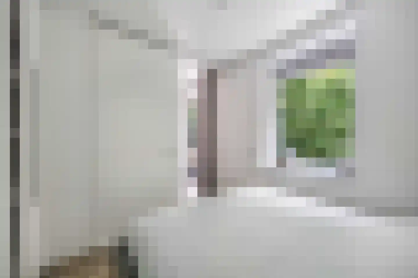 Bumalaan 148 Emmeloord thumbnail 34