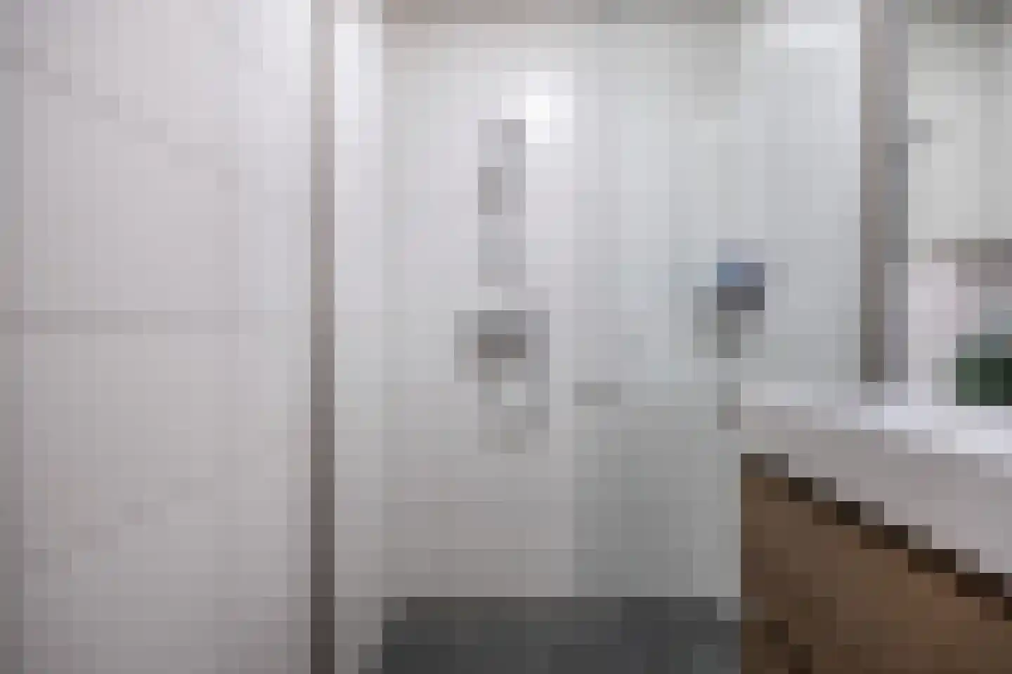 Bumalaan 148 Emmeloord thumbnail 35