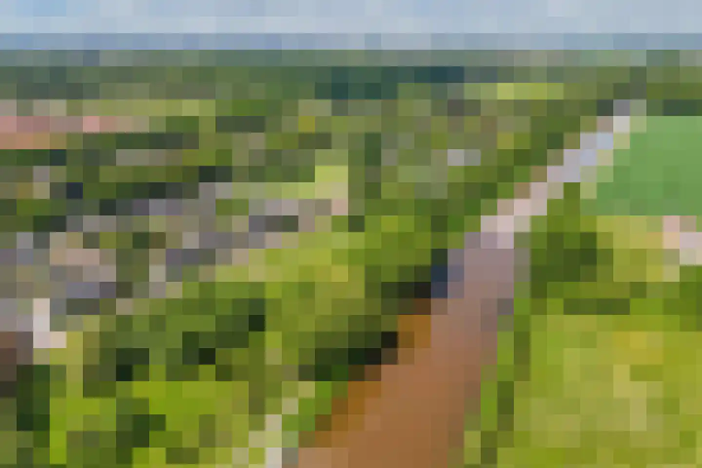 Bumalaan 148 Emmeloord thumbnail 41