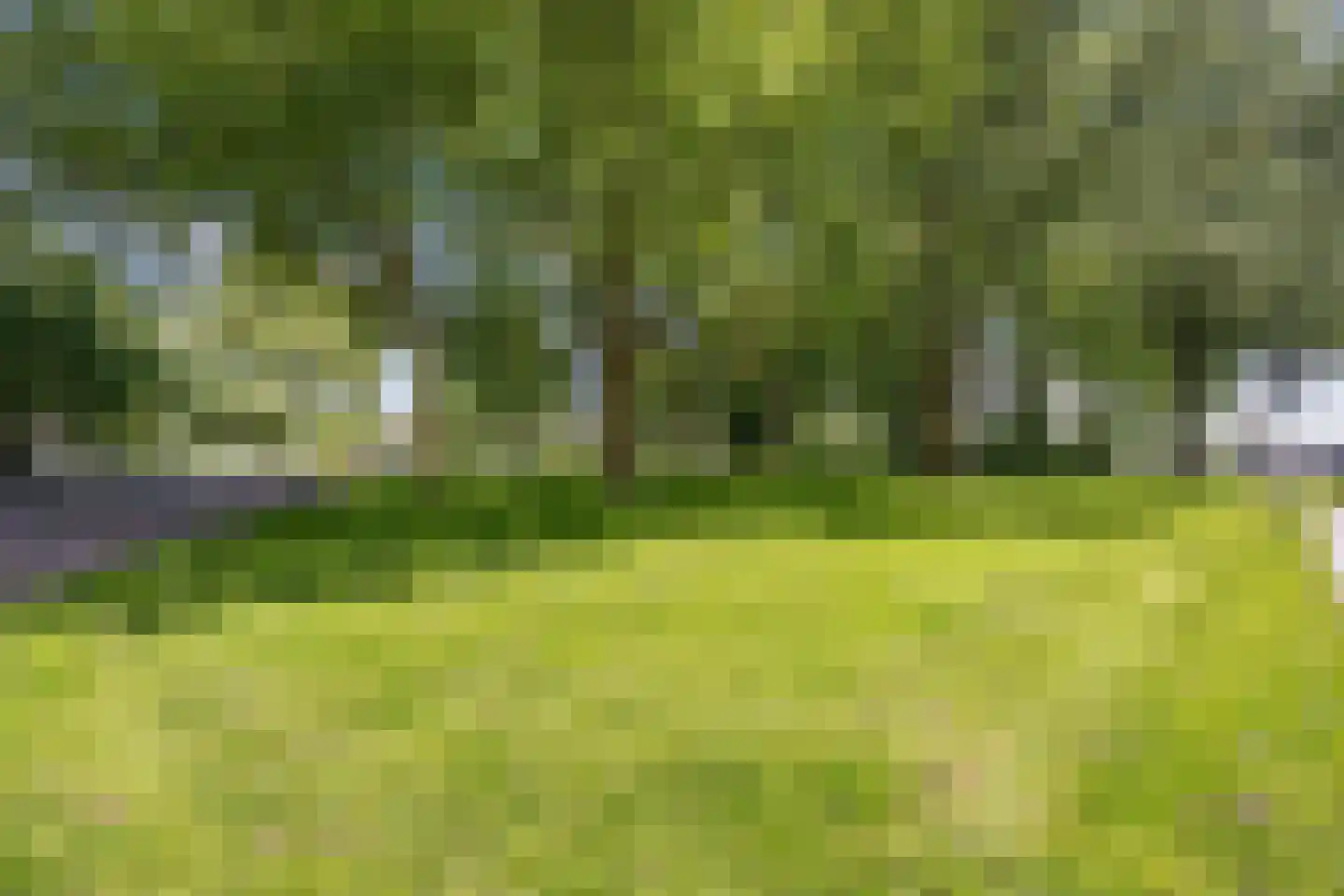 Bumalaan 148 Emmeloord thumbnail 5