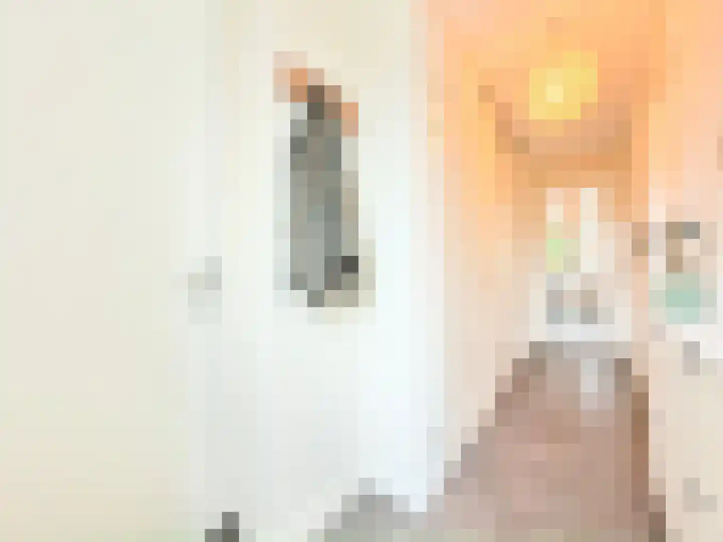 Bumalaan 150 Emmeloord thumbnail 10