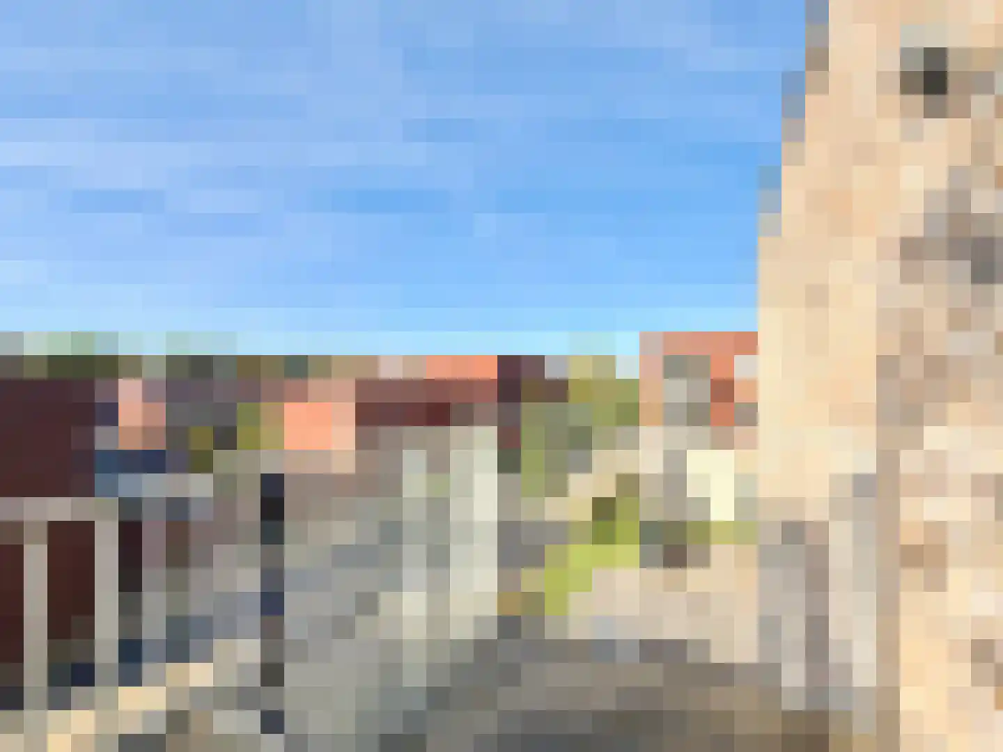 Bumalaan 150 Emmeloord thumbnail 15