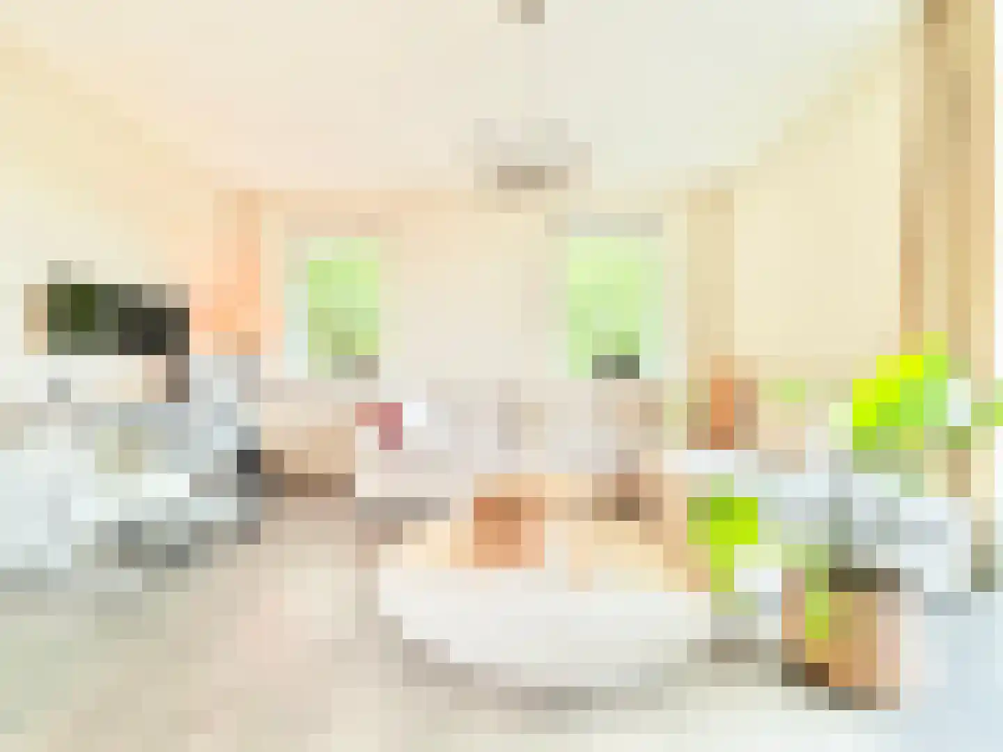 Bumalaan 150 Emmeloord thumbnail 18