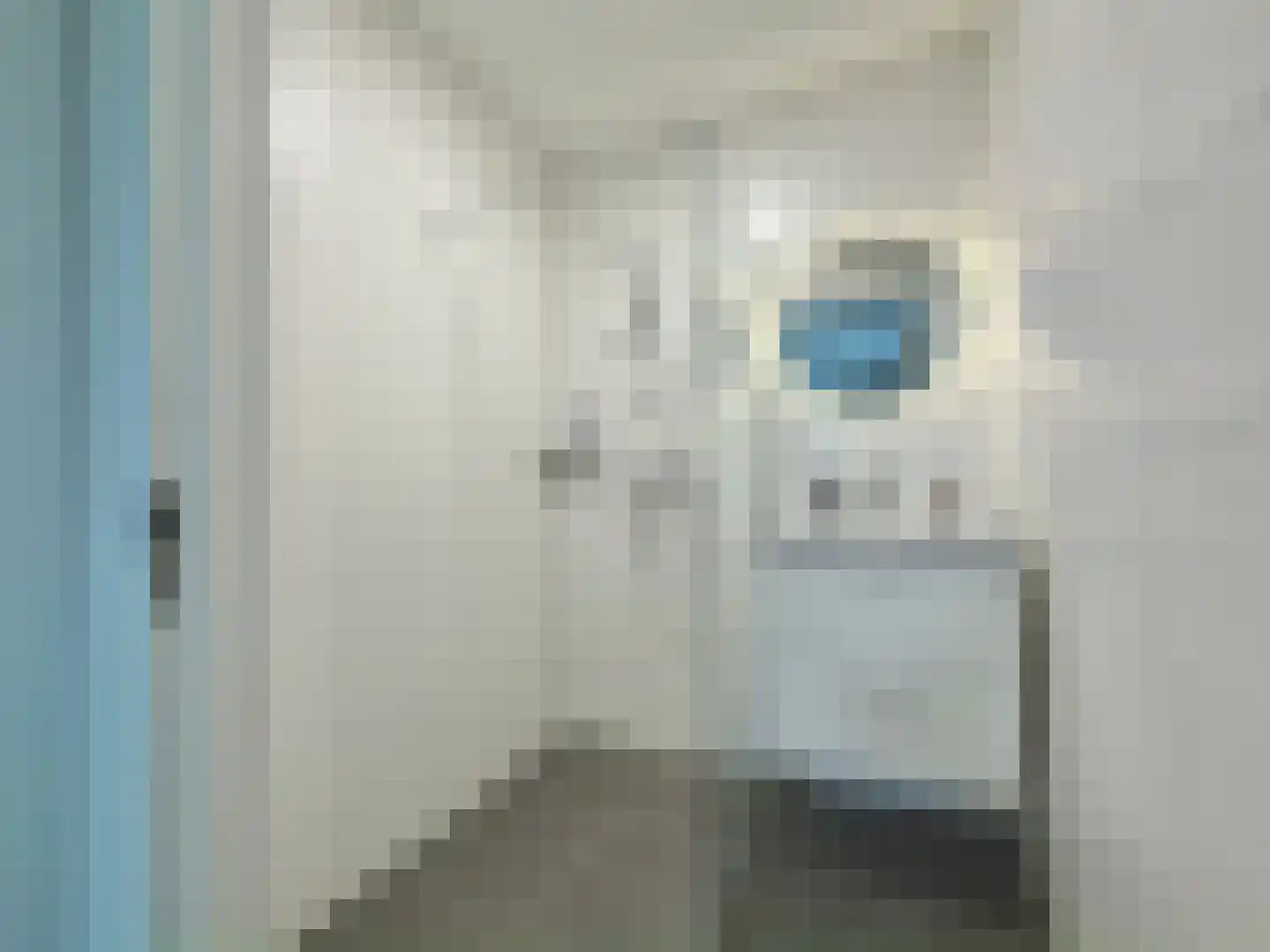 Bumalaan 150 Emmeloord thumbnail 27