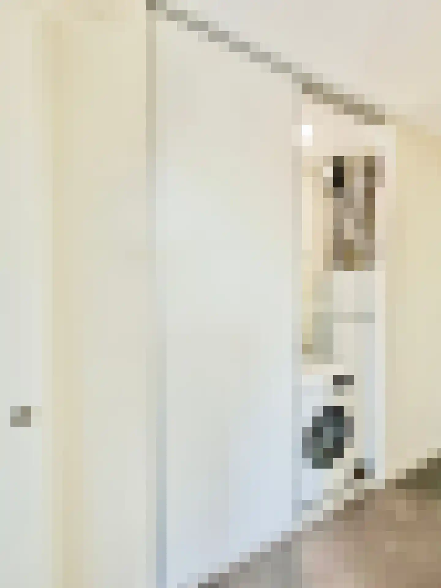 Bumalaan 150 Emmeloord thumbnail 28