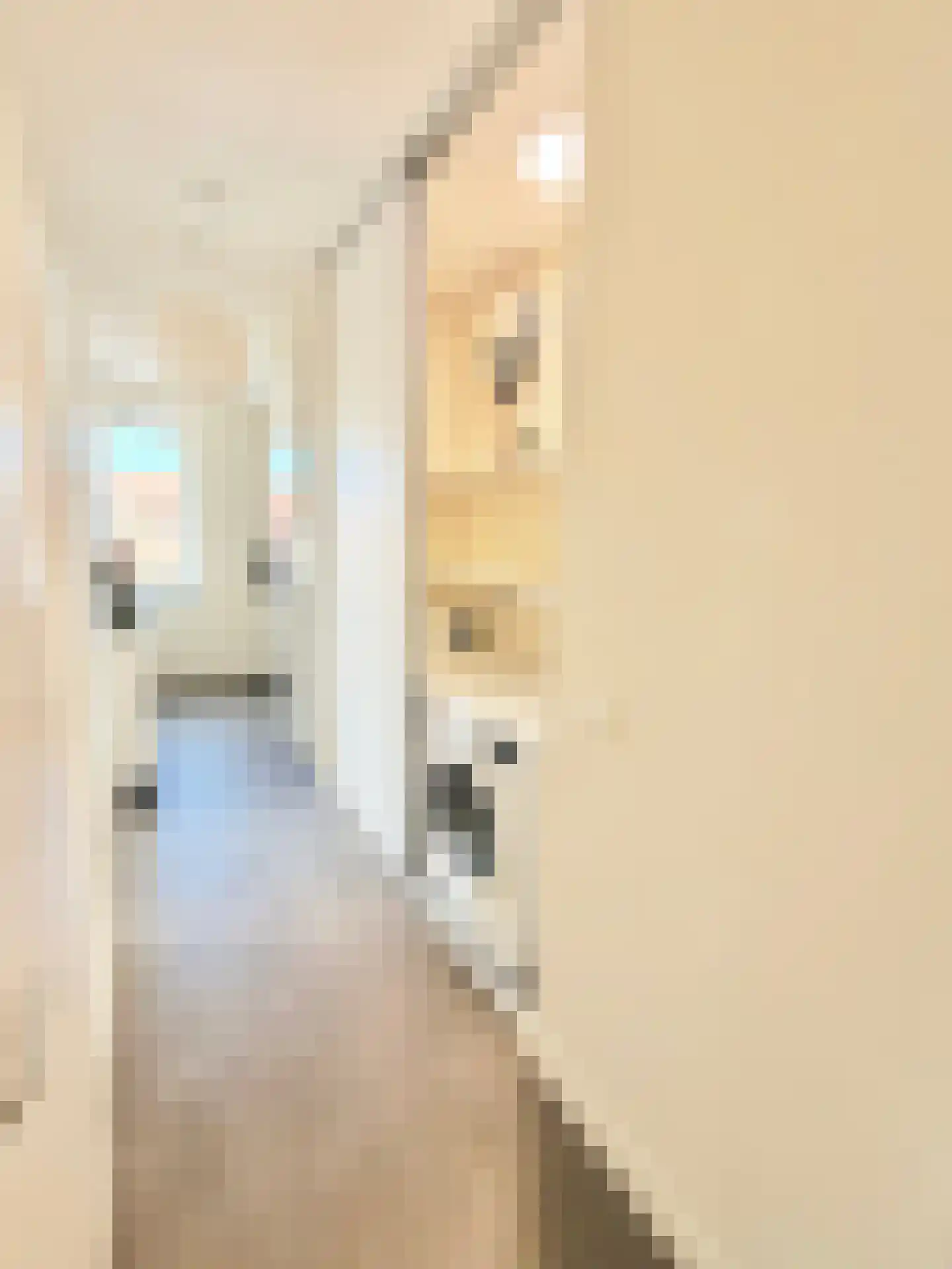 Bumalaan 150 Emmeloord thumbnail 29