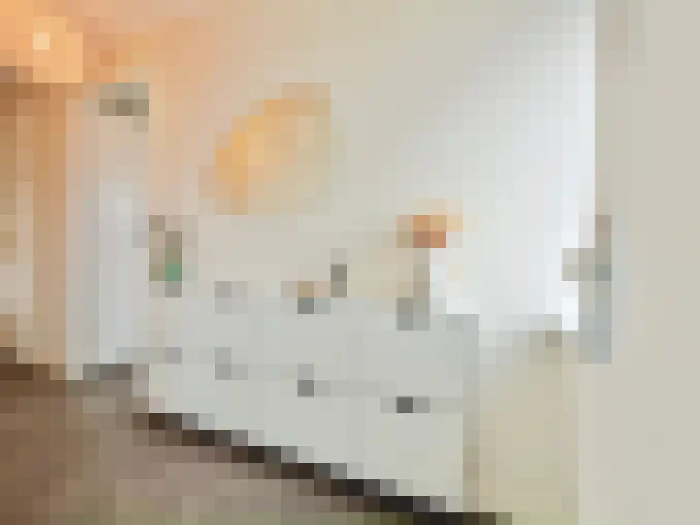 Bumalaan 150 Emmeloord thumbnail 9