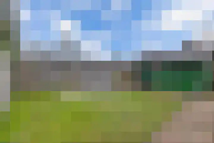 Bumaleane 2 Weidum thumbnail 4