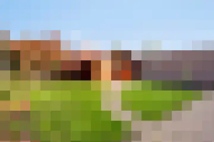 Bumastraat 6 Kampen thumbnail 10