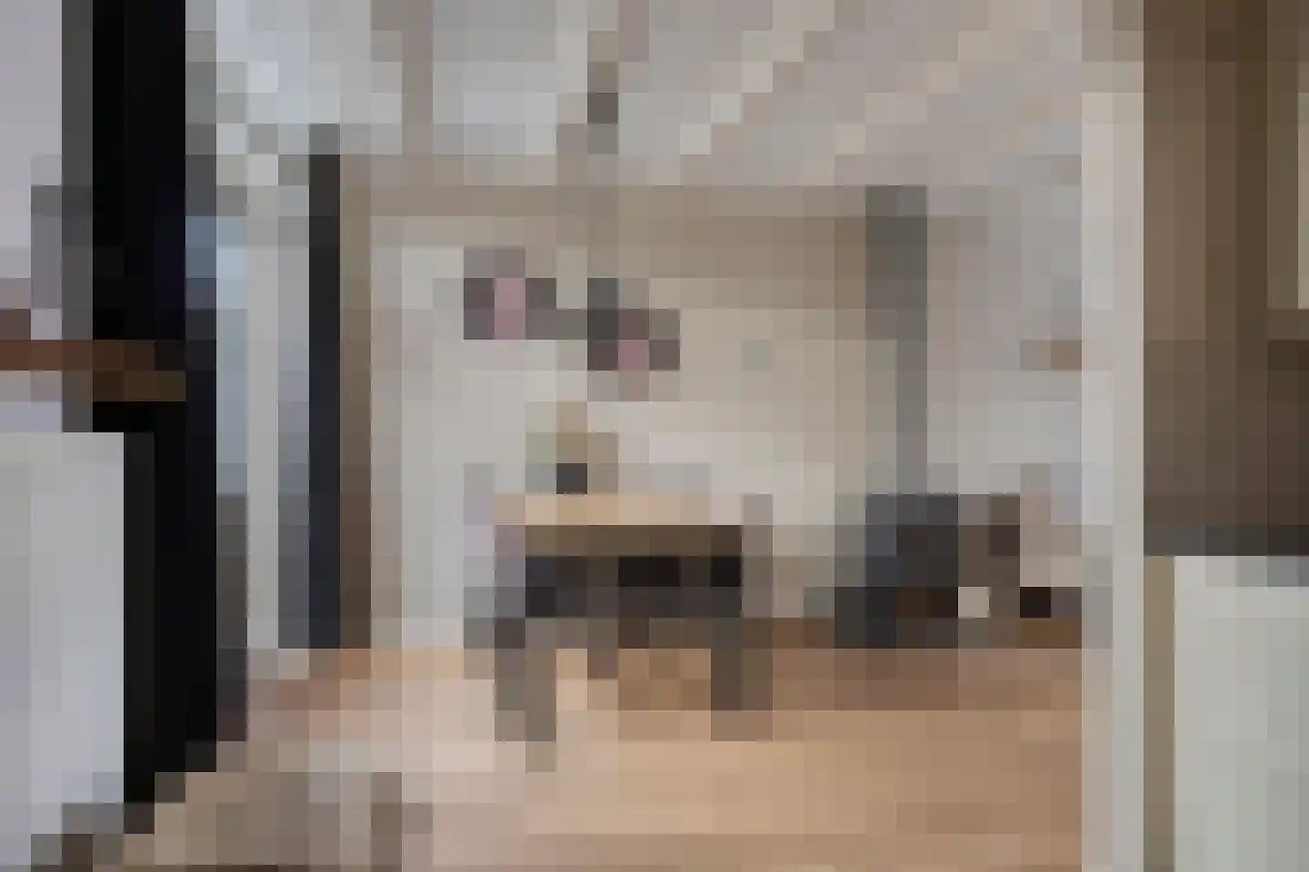 Bumastraat 6 Kampen thumbnail 16