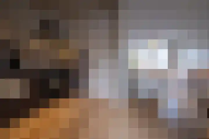 Bumastraat 6 Kampen thumbnail 17