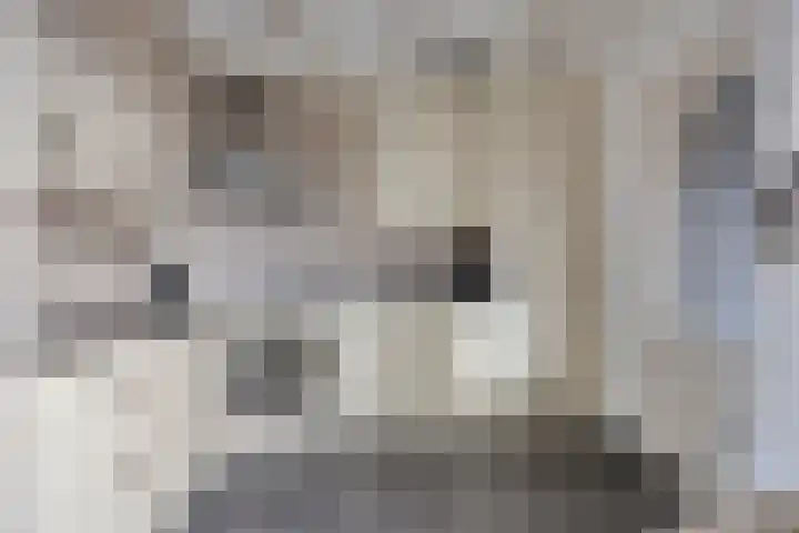 Bumastraat 6 Kampen thumbnail 18