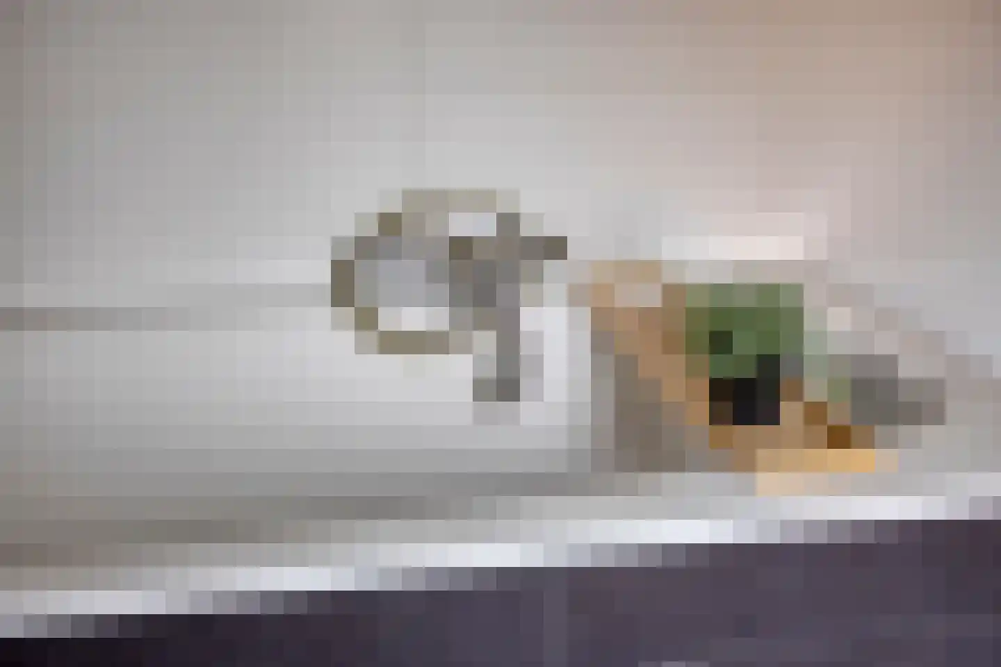 Bumastraat 6 Kampen thumbnail 27