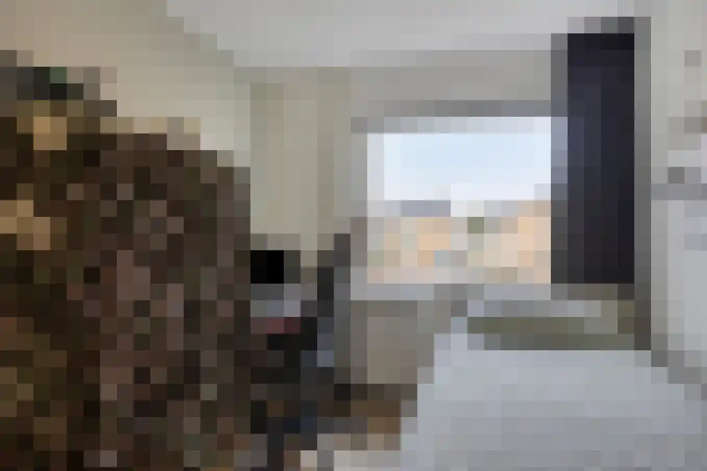 Bumastraat 6 Kampen thumbnail 29