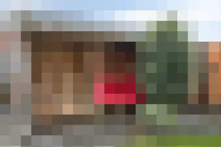 Bumastraat 6 Kampen thumbnail 35