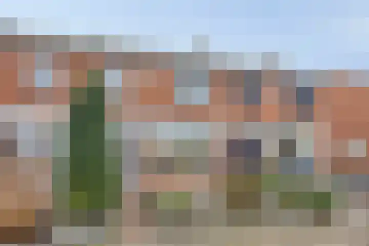 Bumastraat 6 Kampen thumbnail 38