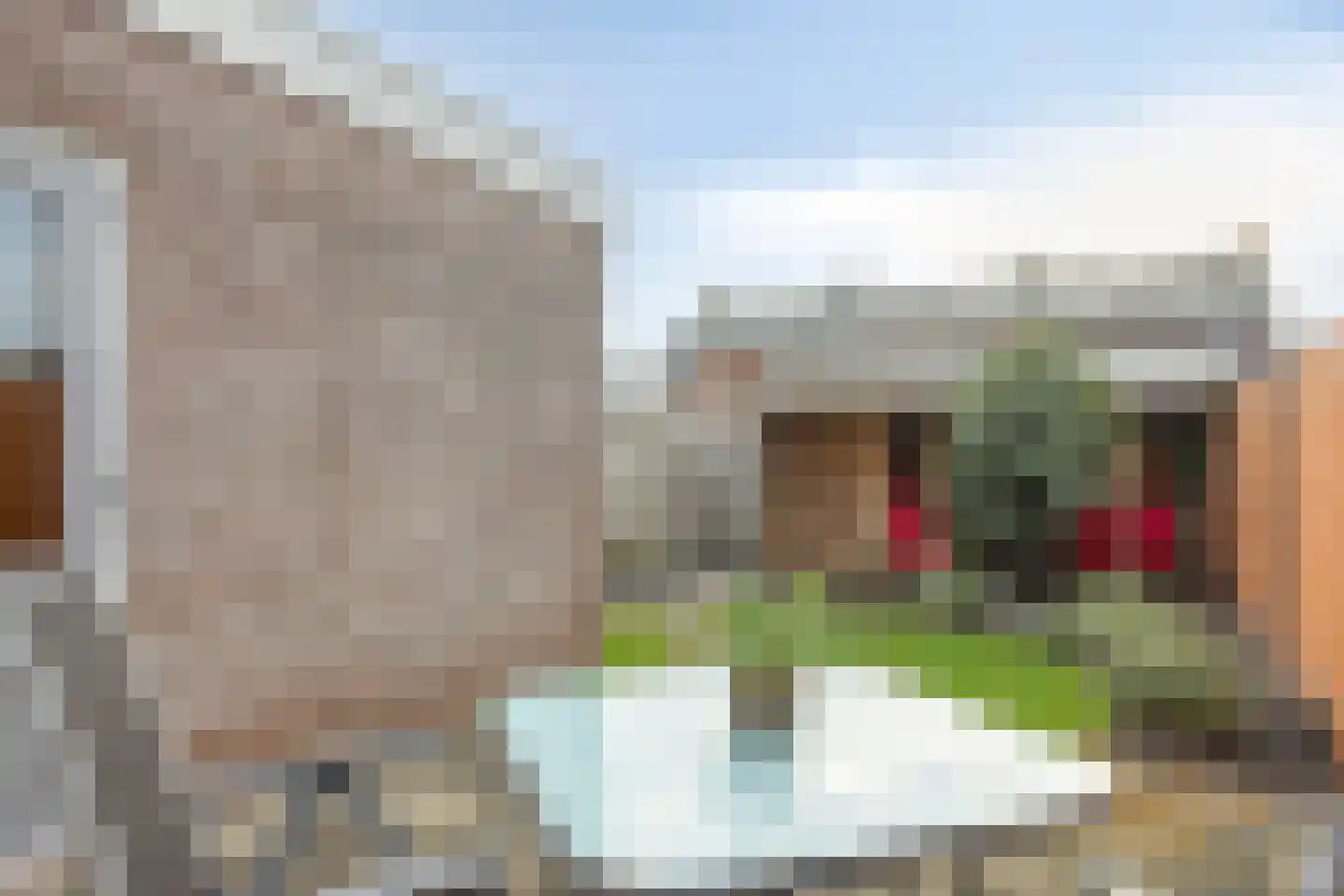 Bumastraat 6 Kampen thumbnail 4