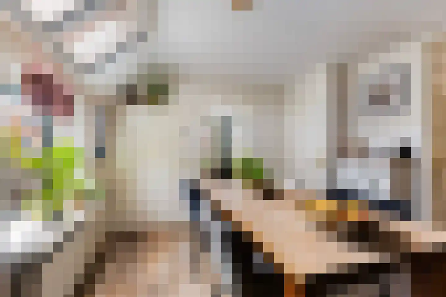 Bumawei 7 Westergeast thumbnail 16